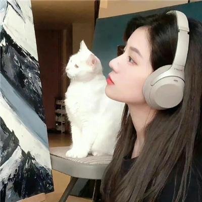 天堂岛疑云第十季